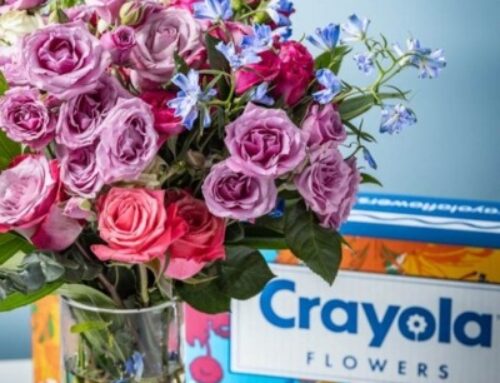 Crayola Flowers: Where Creativity Meets Kindness in Full Bloom